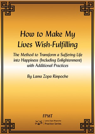 How to Make My Lives Wishfulfilling - 311